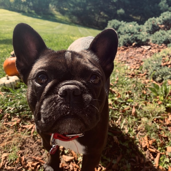 ❤️Welcome! I’m Matilda!!❤️ - Picture 3 of 12